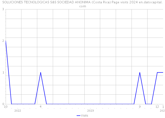 SOLUCIONES TECNOLOGICAS S&S SOCIEDAD ANONIMA (Costa Rica) Page visits 2024 