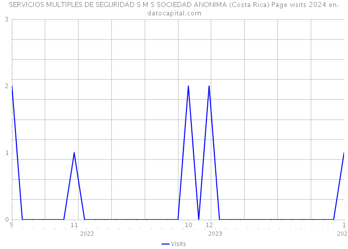 SERVICIOS MULTIPLES DE SEGURIDAD S M S SOCIEDAD ANONIMA (Costa Rica) Page visits 2024 