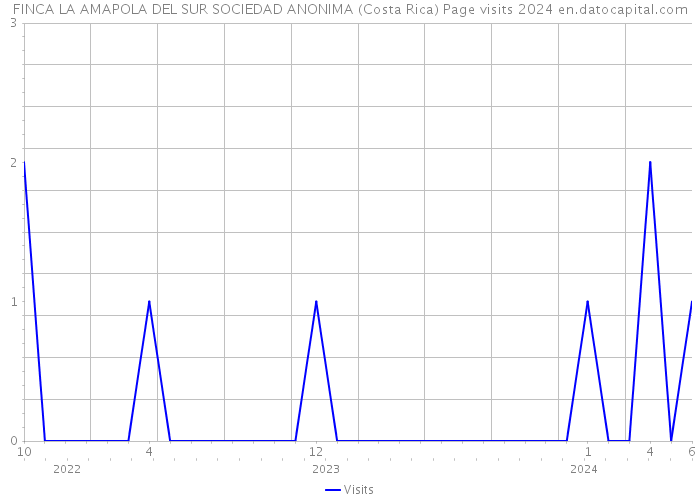 FINCA LA AMAPOLA DEL SUR SOCIEDAD ANONIMA (Costa Rica) Page visits 2024 