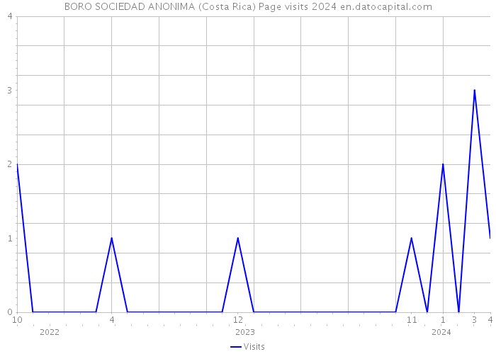 BORO SOCIEDAD ANONIMA (Costa Rica) Page visits 2024 