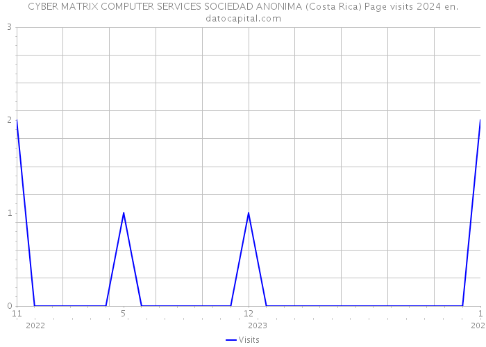 CYBER MATRIX COMPUTER SERVICES SOCIEDAD ANONIMA (Costa Rica) Page visits 2024 