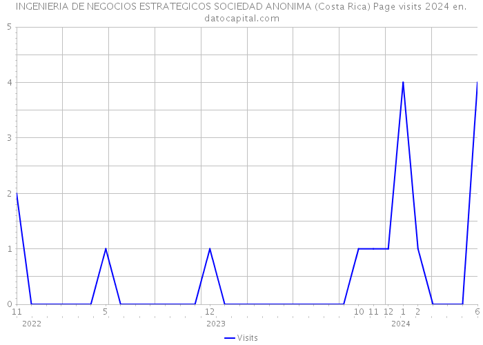 INGENIERIA DE NEGOCIOS ESTRATEGICOS SOCIEDAD ANONIMA (Costa Rica) Page visits 2024 