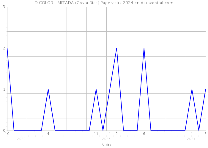 DICOLOR LIMITADA (Costa Rica) Page visits 2024 