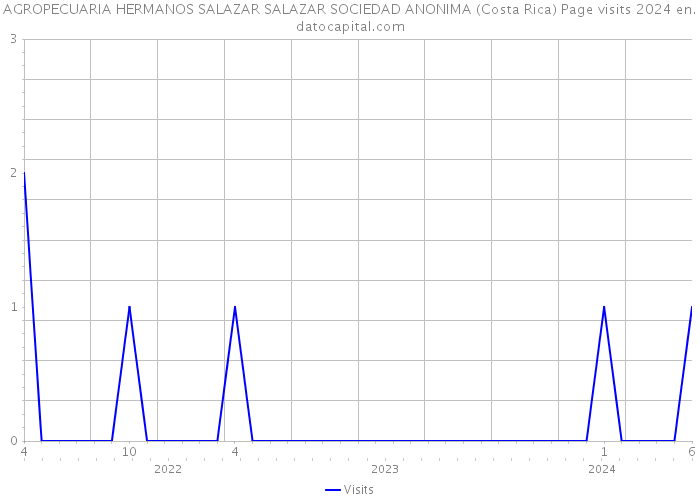 AGROPECUARIA HERMANOS SALAZAR SALAZAR SOCIEDAD ANONIMA (Costa Rica) Page visits 2024 