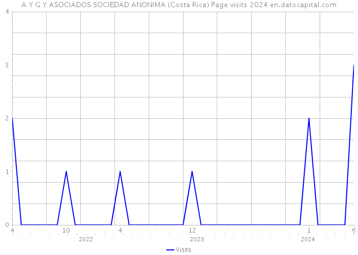A Y G Y ASOCIADOS SOCIEDAD ANONIMA (Costa Rica) Page visits 2024 