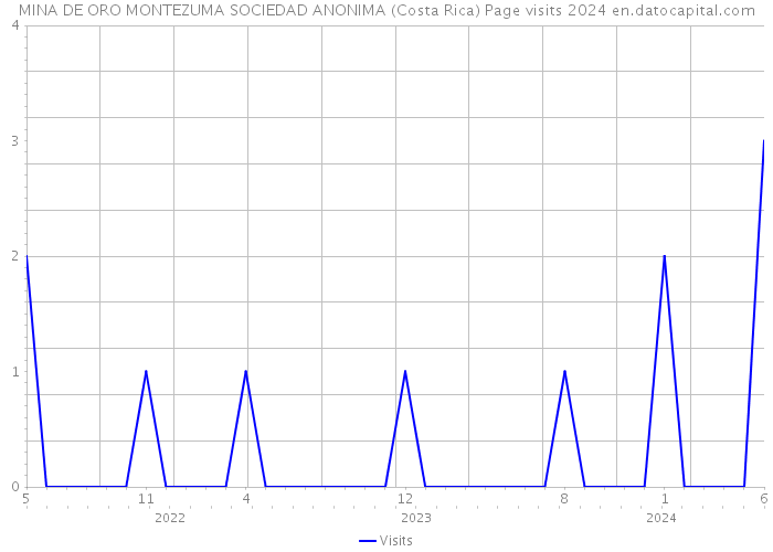 MINA DE ORO MONTEZUMA SOCIEDAD ANONIMA (Costa Rica) Page visits 2024 