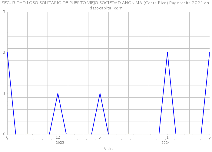 SEGURIDAD LOBO SOLITARIO DE PUERTO VIEJO SOCIEDAD ANONIMA (Costa Rica) Page visits 2024 