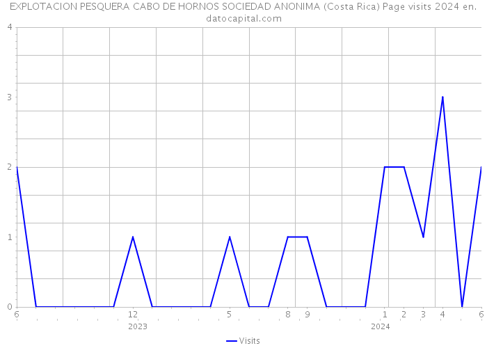 EXPLOTACION PESQUERA CABO DE HORNOS SOCIEDAD ANONIMA (Costa Rica) Page visits 2024 