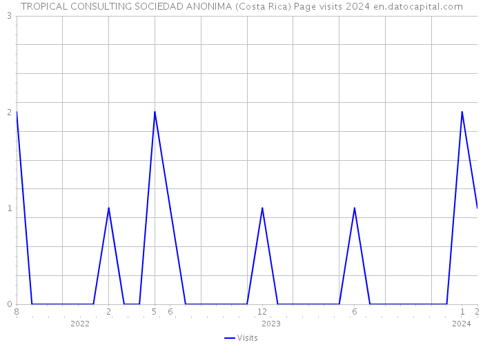 TROPICAL CONSULTING SOCIEDAD ANONIMA (Costa Rica) Page visits 2024 