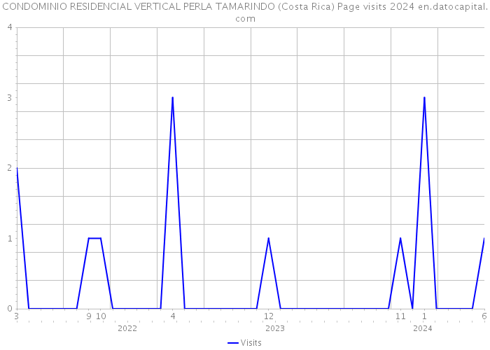 CONDOMINIO RESIDENCIAL VERTICAL PERLA TAMARINDO (Costa Rica) Page visits 2024 