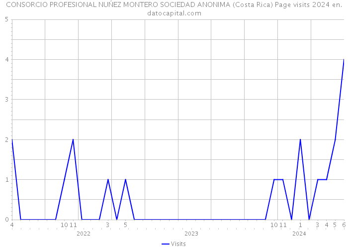 CONSORCIO PROFESIONAL NUŃEZ MONTERO SOCIEDAD ANONIMA (Costa Rica) Page visits 2024 