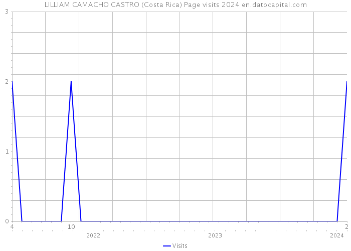 LILLIAM CAMACHO CASTRO (Costa Rica) Page visits 2024 