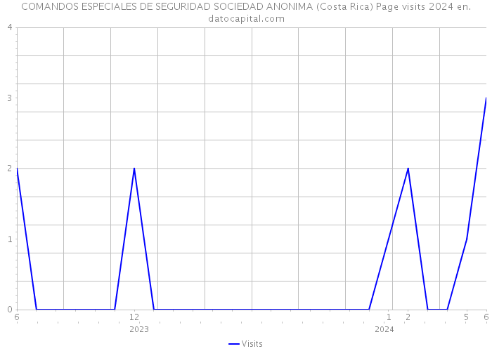 COMANDOS ESPECIALES DE SEGURIDAD SOCIEDAD ANONIMA (Costa Rica) Page visits 2024 