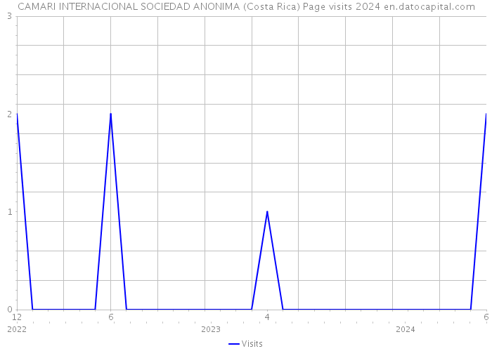 CAMARI INTERNACIONAL SOCIEDAD ANONIMA (Costa Rica) Page visits 2024 