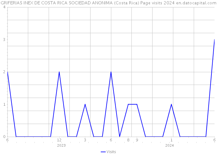GRIFERIAS INEX DE COSTA RICA SOCIEDAD ANONIMA (Costa Rica) Page visits 2024 