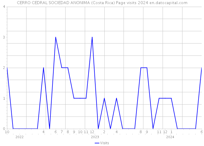 CERRO CEDRAL SOCIEDAD ANONIMA (Costa Rica) Page visits 2024 
