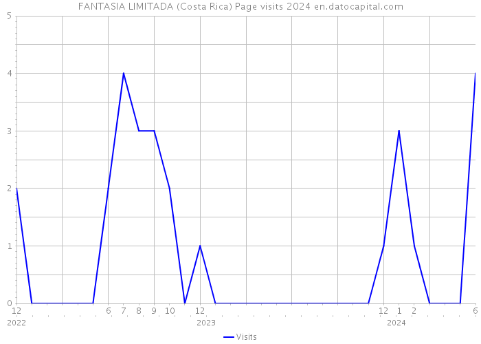 FANTASIA LIMITADA (Costa Rica) Page visits 2024 