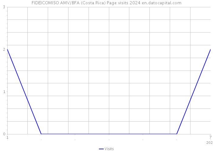 FIDEICOMISO AMV/BFA (Costa Rica) Page visits 2024 