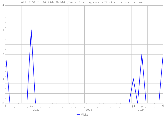 AURIC SOCIEDAD ANONIMA (Costa Rica) Page visits 2024 