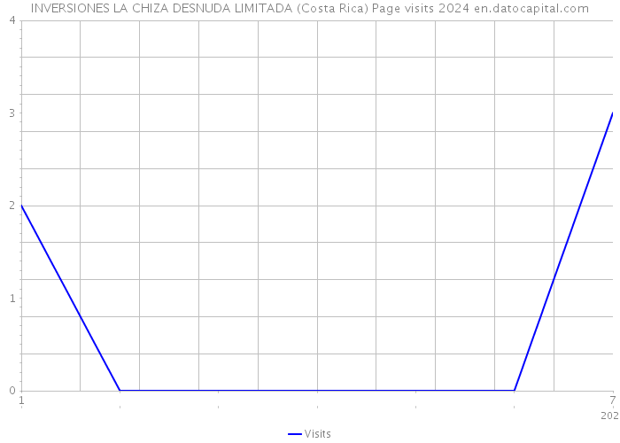 INVERSIONES LA CHIZA DESNUDA LIMITADA (Costa Rica) Page visits 2024 