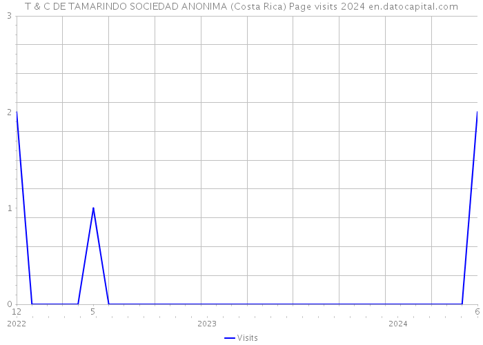 T & C DE TAMARINDO SOCIEDAD ANONIMA (Costa Rica) Page visits 2024 