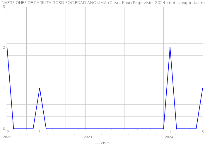 INVERSIONES DE PARRITA ROSO SOCIEDAD ANONIMA (Costa Rica) Page visits 2024 