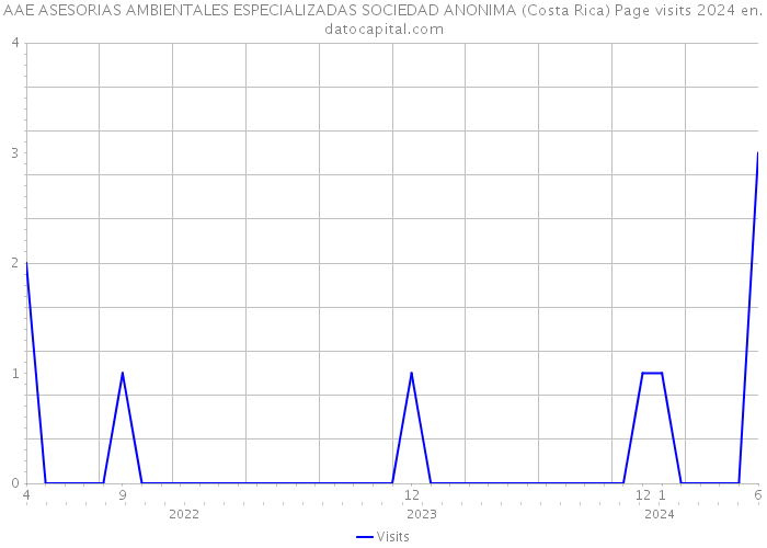 AAE ASESORIAS AMBIENTALES ESPECIALIZADAS SOCIEDAD ANONIMA (Costa Rica) Page visits 2024 