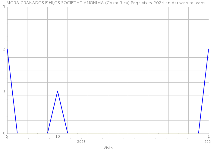 MORA GRANADOS E HIJOS SOCIEDAD ANONIMA (Costa Rica) Page visits 2024 