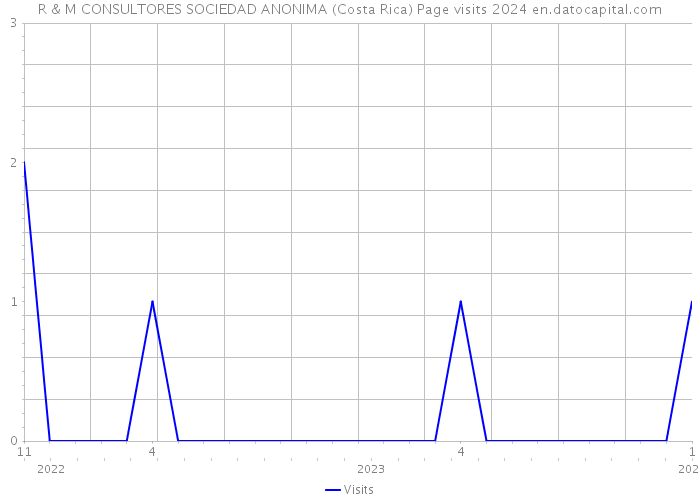R & M CONSULTORES SOCIEDAD ANONIMA (Costa Rica) Page visits 2024 