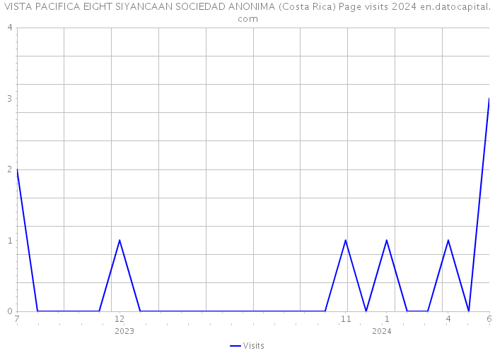 VISTA PACIFICA EIGHT SIYANCAAN SOCIEDAD ANONIMA (Costa Rica) Page visits 2024 