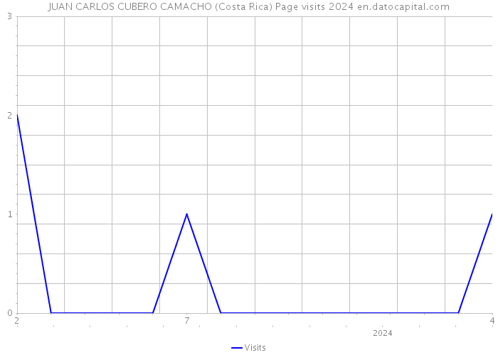 JUAN CARLOS CUBERO CAMACHO (Costa Rica) Page visits 2024 