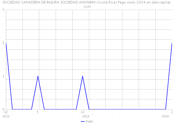 SOCIEDAD GANADERA DE BAJURA SOCIEDAD ANONIMA (Costa Rica) Page visits 2024 