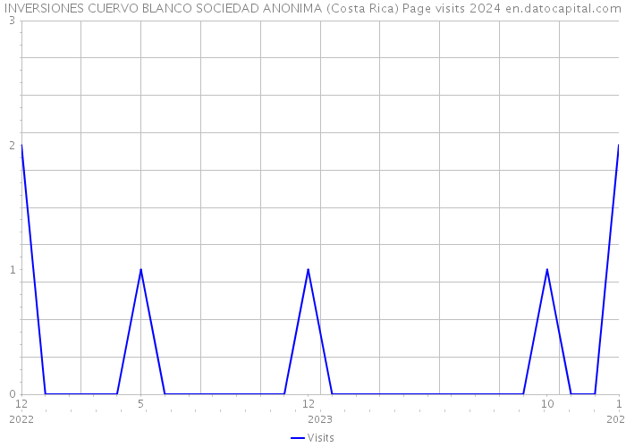 INVERSIONES CUERVO BLANCO SOCIEDAD ANONIMA (Costa Rica) Page visits 2024 