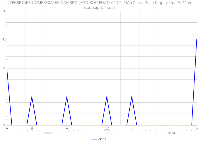 INVERSIONES COMERCIALES CAMBRONERO SOCIEDAD ANONIMA (Costa Rica) Page visits 2024 