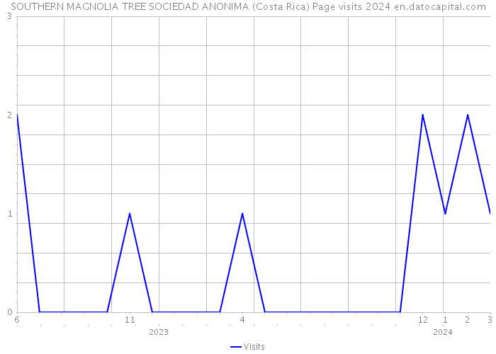SOUTHERN MAGNOLIA TREE SOCIEDAD ANONIMA (Costa Rica) Page visits 2024 