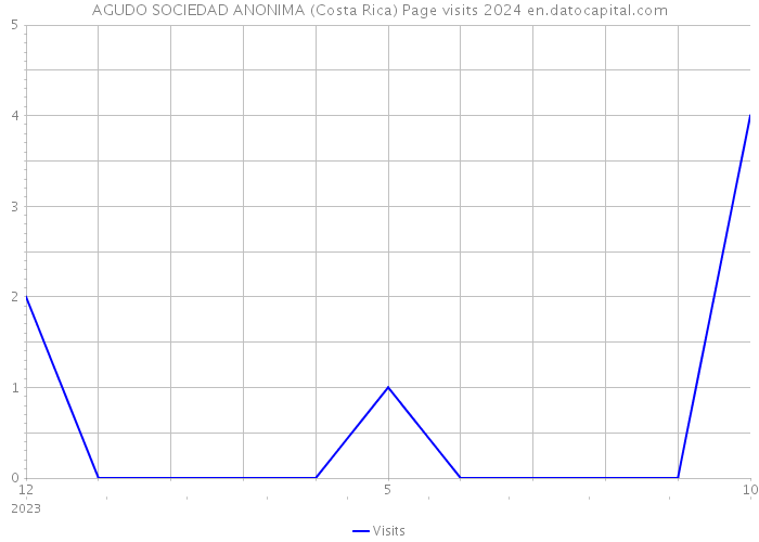 AGUDO SOCIEDAD ANONIMA (Costa Rica) Page visits 2024 