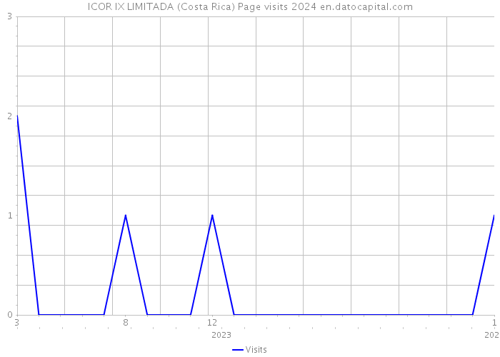 ICOR IX LIMITADA (Costa Rica) Page visits 2024 