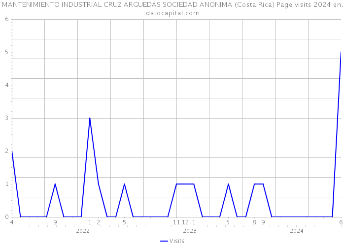 MANTENIMIENTO INDUSTRIAL CRUZ ARGUEDAS SOCIEDAD ANONIMA (Costa Rica) Page visits 2024 