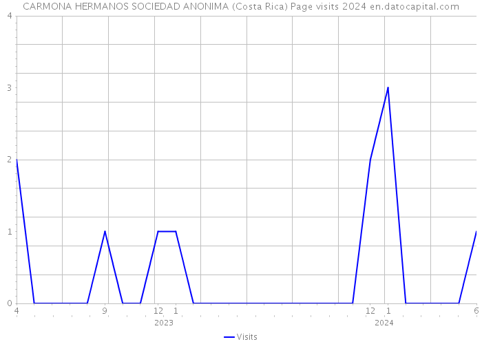 CARMONA HERMANOS SOCIEDAD ANONIMA (Costa Rica) Page visits 2024 