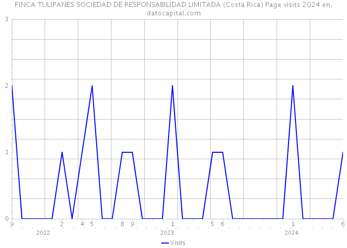 FINCA TULIPANES SOCIEDAD DE RESPONSABILIDAD LIMITADA (Costa Rica) Page visits 2024 