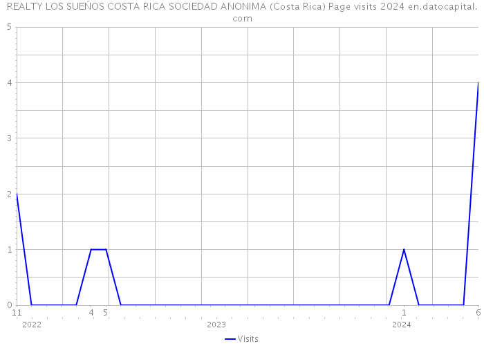 REALTY LOS SUEŃOS COSTA RICA SOCIEDAD ANONIMA (Costa Rica) Page visits 2024 