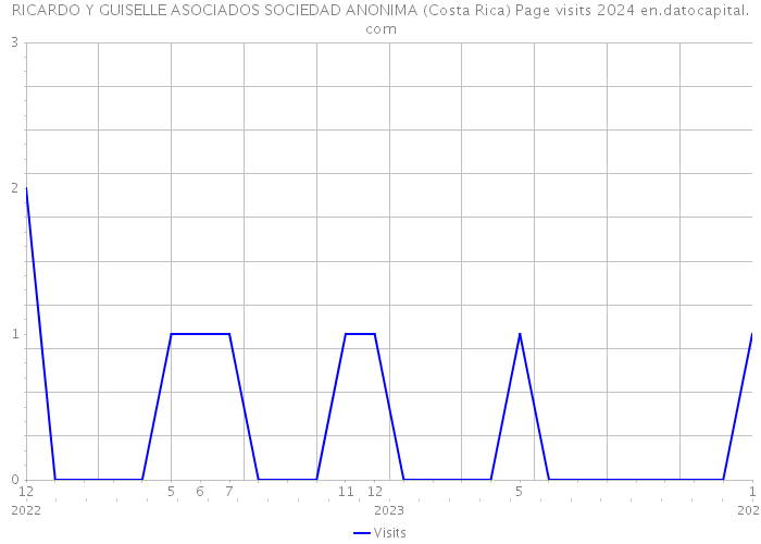 RICARDO Y GUISELLE ASOCIADOS SOCIEDAD ANONIMA (Costa Rica) Page visits 2024 