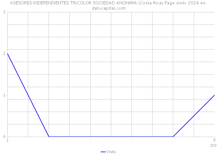 ASESORES INDEPENDIENTES TRICOLOR SOCIEDAD ANONIMA (Costa Rica) Page visits 2024 