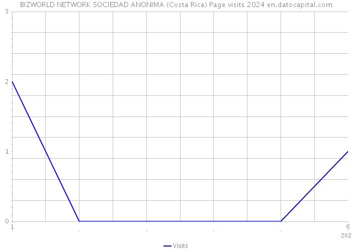 BIZWORLD NETWORK SOCIEDAD ANONIMA (Costa Rica) Page visits 2024 