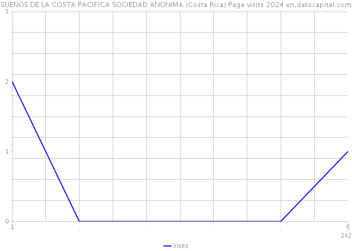 SUEŃOS DE LA COSTA PACIFICA SOCIEDAD ANONIMA (Costa Rica) Page visits 2024 