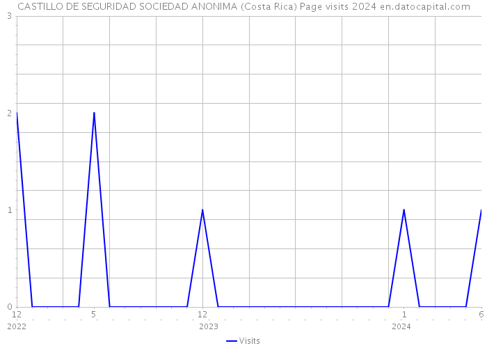 CASTILLO DE SEGURIDAD SOCIEDAD ANONIMA (Costa Rica) Page visits 2024 