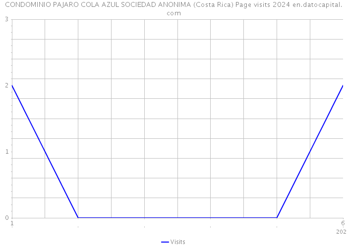 CONDOMINIO PAJARO COLA AZUL SOCIEDAD ANONIMA (Costa Rica) Page visits 2024 