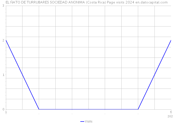 EL ŃATO DE TURRUBARES SOCIEDAD ANONIMA (Costa Rica) Page visits 2024 