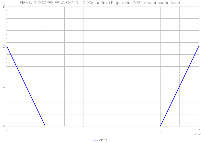 FIBASUR COOPESIERRA CANTILLO (Costa Rica) Page visits 2024 