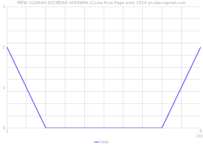 PEŃA GUZMAN SOCIEDAD ANONIMA (Costa Rica) Page visits 2024 
